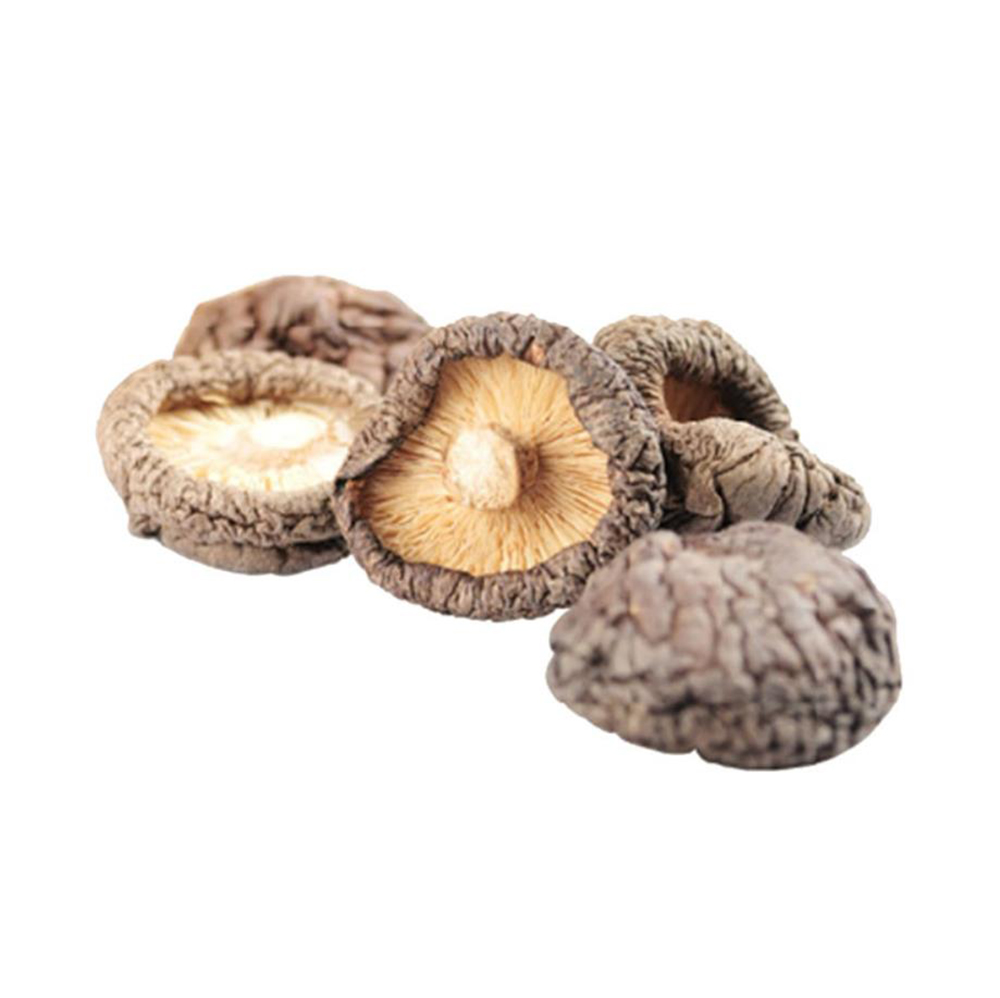 Dried Mushrooms (Jin Qian Gu) 16oz - Tak Shing Hong